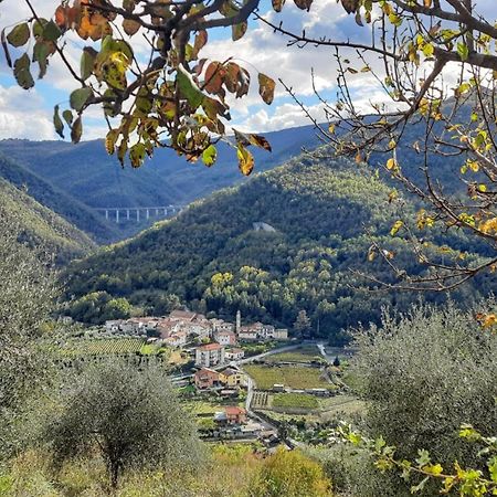 Agriturismo A Ca Du Paiperu Pieve di Teco 외부 사진